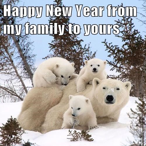 Polar Bear mother and 3 kids   Happy New Year from my family to yours [text]